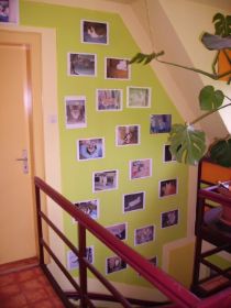 Importierte Fotos 00134.JPG